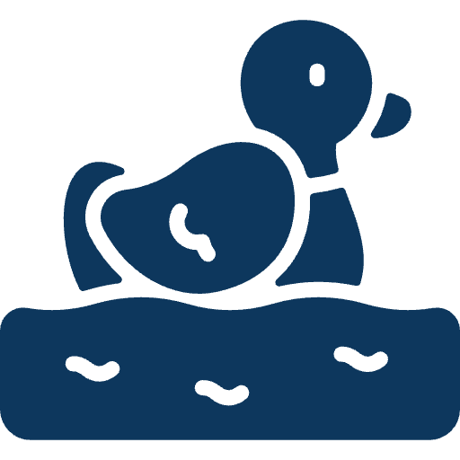 Kids’ Pool