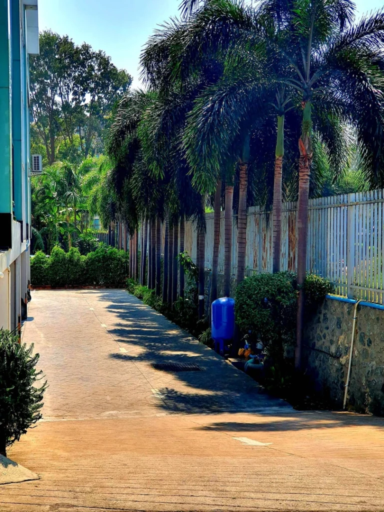AD Hyatt Wongamat: swimming pool