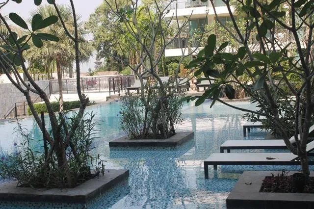 Sanctuary Wong Amat: swimming pool