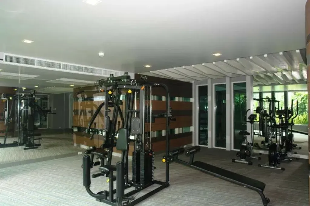 Apus Condo: gym