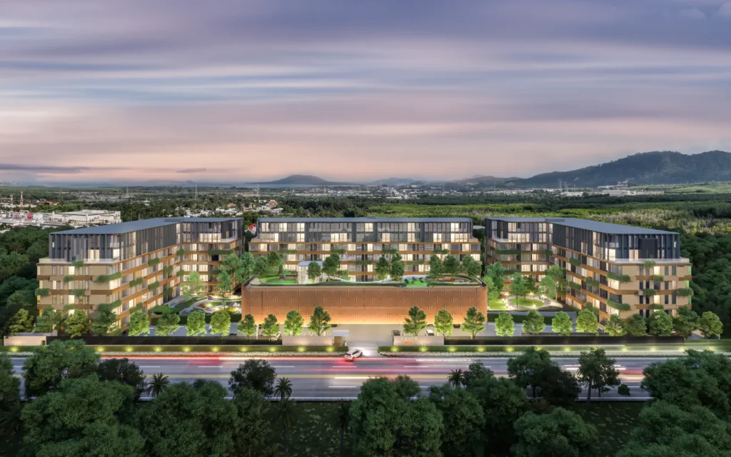 Arise Vibe — Phuket