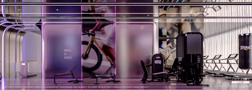 Embassy Life: gym