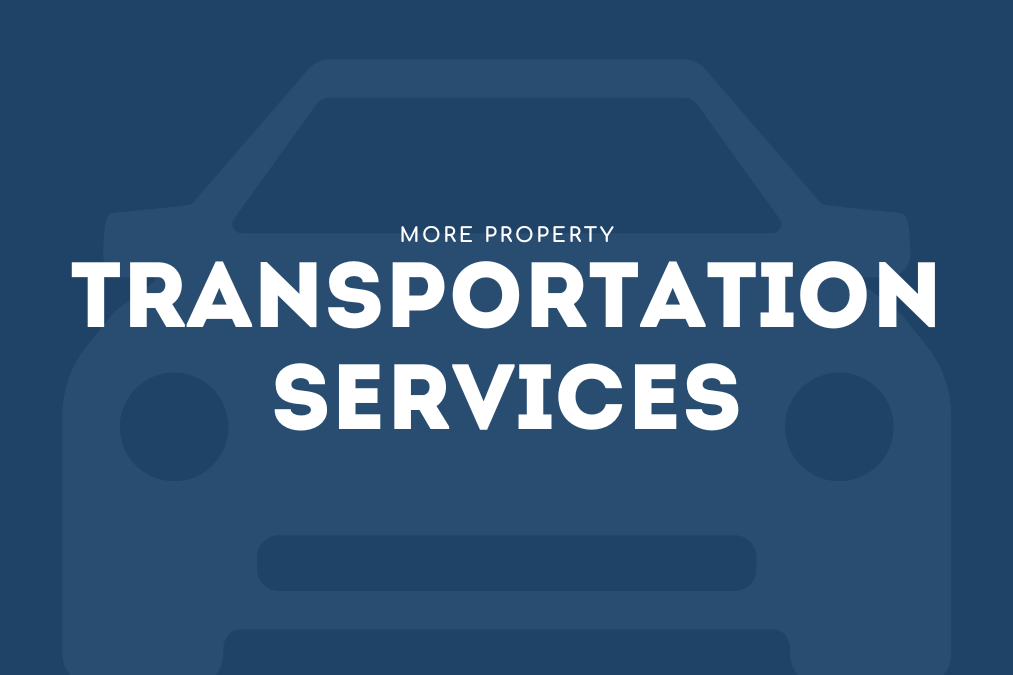 Transfers & Transportation Services
