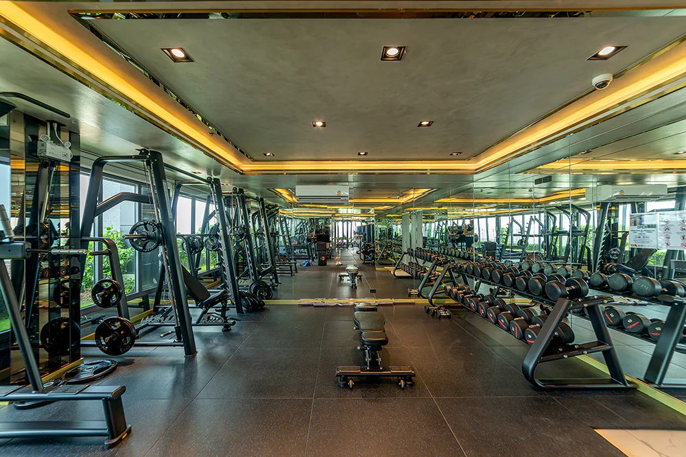 Arcadia Millennium Tower: gym